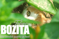 Bozita Premium-Katzenfutter im Tetra-Pack